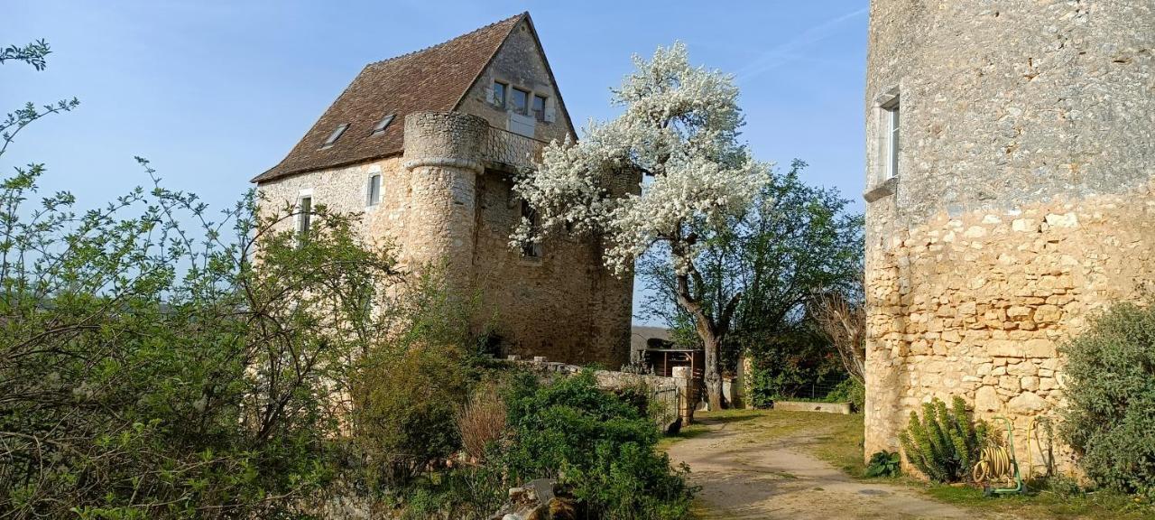 Bed and Breakfast Montenaut Angles-sur-lʼAnglin Exterior foto