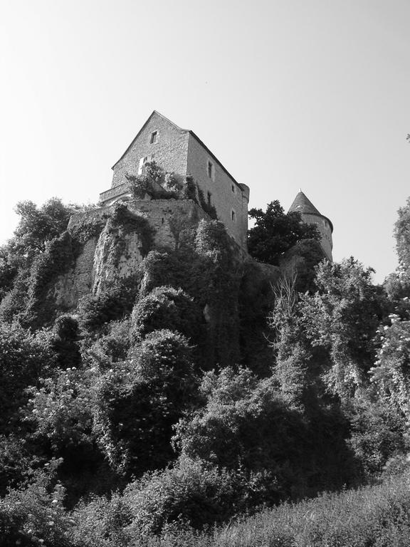 Bed and Breakfast Montenaut Angles-sur-lʼAnglin Exterior foto