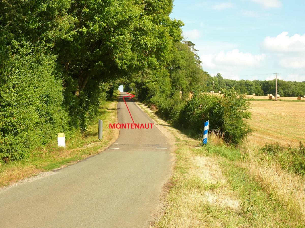 Bed and Breakfast Montenaut Angles-sur-lʼAnglin Exterior foto